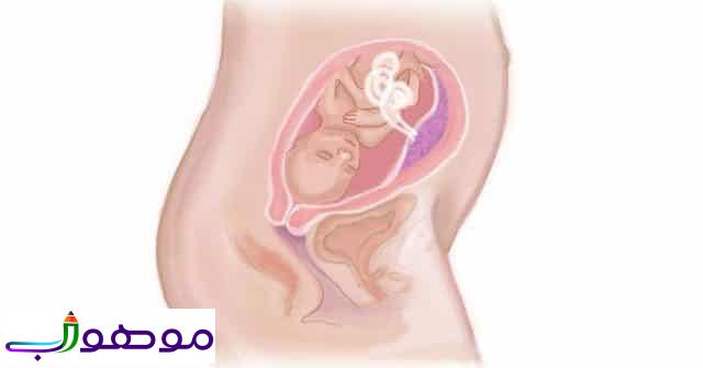 حركة الجنين في الشهر السابع قوية للحامل ودلالاتها بالتفصيل